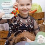 Traditional Hand Painted Rooster Ornament Wooden Easter and Christmas Hanging Decor 4.3 x 3.3 x 0.2 in Ukrainian Artisan Craft Collectible Gift