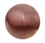 Gold Nose Ring - Tiny Thin 20 Gauge 7mm Nose Hoop - Small 14k Gold Filled Nose Piercing Jewelry For Women - Handmade Nose Rings Hoops - Gift Ready