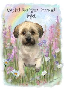 Personalised Dog Memorial Card – Pet Loss Sympathy Card with Rainbow Bridge Watercolour Art – Custom Dog Remembrance with Photo & Name