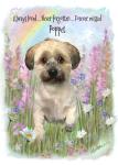 Personalised Dog Memorial Card – Pet Loss Sympathy Card with Rainbow Bridge Watercolour Art – Custom Dog Remembrance with Photo & Name