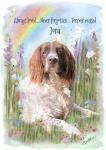 Personalised Dog Memorial Card – Pet Loss Sympathy Card with Rainbow Bridge Watercolour Art – Custom Dog Remembrance with Photo & Name