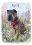 Personalised Dog Memorial Card – Pet Loss Sympathy Card with Rainbow Bridge Watercolour Art – Custom Dog Remembrance with Photo & Name