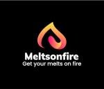 Wax Melts Scented Handmade Snap Bars, 4 Pack Alien, Angel, Black Opium, Lady Millionairess Scented Soy Wax Melts Vegan Aromatherapy (Perfume1)