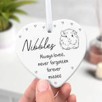 Beecreative Personalised Guinea Pig Memorial Plaque Gift - Guinea Pig Pet Loss - Guinea Pig Remembrance - Any Name Pet Memorial Ceramic Ornament - With Gift Box