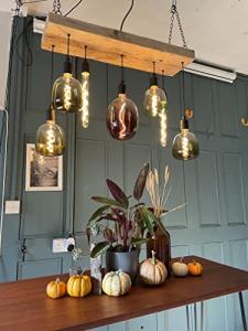 Norwegian Spruce "Rainbow" Chandelier, Energy Efficient LED bulbs, kitchen dining room light (Rainbow bulbs)