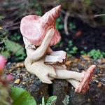 Shy fairy figurine, fairy garden ornament, ceramic pixie plant pot ornament. Coral.