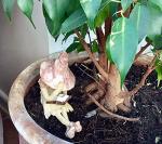 Shy fairy figurine, fairy garden ornament, ceramic pixie plant pot ornament. Coral.