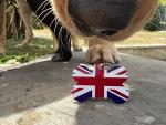 Union Jack Pet ID Tag
