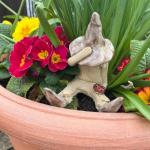 Fairy garden boy shy fairy figurine, pixie plant pot ornament, holding a ladybird, brown hat and boots.