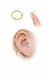 Gold Cartilage Earring - 18 Gauge 8mm Gold Helix Hoop - 14k Gold Filled Helix Earrings for Women - Small Cartilage Hoops