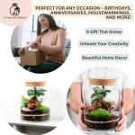 DIY Terrarium Kit with Ficus Bonsai, Fittonia & Fern, 25cm Complete Glass Container Set with LED Cork Lid, High Quality Closed Terrarium, Ecosystem, Garden in Bottle, Office Home Decoration