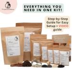 DIY Terrarium Kit with Ficus Bonsai, Fittonia & Fern, 25cm Complete Glass Container Set with LED Cork Lid, High Quality Closed Terrarium, Ecosystem, Garden in Bottle, Office Home Decoration