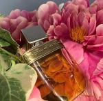 Perfume The Queen of all Water Aulentissima 50 ml