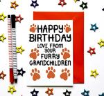Birthday Card From Furry Grandchildren, Dogs, Cats, Pets, For Grandad, Grandma, Grandparent