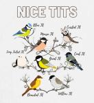 Funny NICE TITS Decorative Kitchen Tea Towel Microfiber 50 x 30 cm Gift Idea
