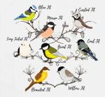 Funny NICE TITS Decorative Kitchen Tea Towel Microfiber 50 x 30 cm Gift Idea