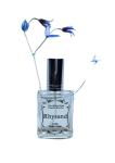Rhysand Perfume | High Lord of The Night Court | ACOTAR Gifts | Book Lover Perfume | Vegan Luxury Handmade Perfumes | A Court of Thorns and Roses Bookish Gifts