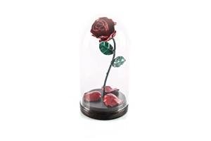Forging Art Bcn® Hand Forged Enchanted Rose in Beauty and the Beast Glass Dome - Gift of Valentine's Day, Mother's Day, 6th Year Wedding Anniversary (Red/Green)