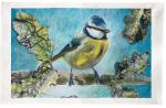 Blue Tit Tea Towel 100% Cotton Wildlife Garden Bird Watcher Lover Fan Twitcher Gardener Gift White Blue Drying Cloth Kitchen Decor Hayley Mills Art