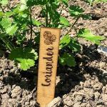 Set of 10 Herb Plant Markers Sticks - Garden plant identifier stakes