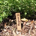 Set of 10 Herb Plant Markers Sticks - Garden plant identifier stakes