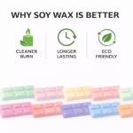 Raspberry Ripple Scented Wax Melts Snap Bar – 22g Natural Handmade, Highly Scented, Long-Lasting Soy Wax, Ideal for Burners & Sweet Fruity Home Fragrance