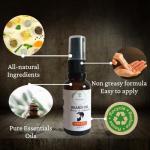 Nonashe Handmade Beard Oil - Argan & Jojoba Oils-Natural Ingredients Blend for Healthy Growth Hydrate, Moisturise, Softens & Strengthens (Discovery Box (Kit of 7 Bottles), 10ml x 7)