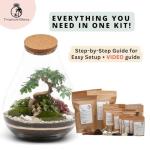 Mega DIY Terrarium Kit with Bonsai H: 43 cm 'Kobe' - Complete Closed Ecosystem Jar with Standard Lid, Live Plants, Moss, Soil & Decor - Easy Build Glass Bottle Garden Set for Home Oasis