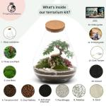 Mega DIY Terrarium Kit with Bonsai H: 43 cm 'Kobe' - Complete Closed Ecosystem Jar with Standard Lid, Live Plants, Moss, Soil & Decor - Easy Build Glass Bottle Garden Set for Home Oasis