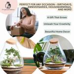 Mega DIY Terrarium Kit with Bonsai H: 43 cm 'Kobe' - Complete Closed Ecosystem Jar with Standard Lid, Live Plants, Moss, Soil & Decor - Easy Build Glass Bottle Garden Set for Home Oasis