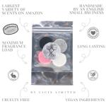 CICIX LIMITED Scented Vacuum Freshner Discs. 130+ Scents To Pick From. Handmade in England. Strong Scented, Long lasting. Pack of 4x 3cm Discs. Vegan And Cruelty Free. (Rouge 540)