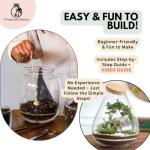 Mega DIY Terrarium Kit with Bonsai H: 43 cm 'Kobe' - Complete Closed Ecosystem Jar with Standard Lid, Live Plants, Moss, Soil & Decor - Easy Build Glass Bottle Garden Set for Home Oasis