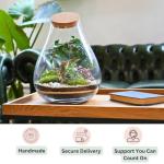 Mega DIY Terrarium Kit with Bonsai H: 43 cm 'Kobe' - Complete Closed Ecosystem Jar with Standard Lid, Live Plants, Moss, Soil & Decor - Easy Build Glass Bottle Garden Set for Home Oasis