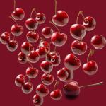 The Smelly Wax Company Forbidden Cherry LC01 Perfume for Women 50ml | Sweet Black Cherry Vanilla Eau de Parfum | Long Lasting Gourmand Fragrance