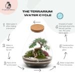 Mega DIY Terrarium Kit with Bonsai H: 43 cm 'Kobe' - Complete Closed Ecosystem Jar with Standard Lid, Live Plants, Moss, Soil & Decor - Easy Build Glass Bottle Garden Set for Home Oasis