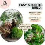 Large Terrarium Kit with 4 Live Plants & Moss – DIY Bonsai Terrarium Kit with Glass Container and Cork Lid for Adults and Beginners – Complete Indoor Garden Gift Set