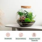 Large Terrarium Kit with 4 Live Plants & Moss – DIY Bonsai Terrarium Kit with Glass Container and Cork Lid for Adults and Beginners – Complete Indoor Garden Gift Set