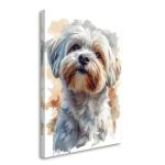 Lowchen (Little Lion Dog) Painted Illustration Canvas Art Print - Canine Decor, Pet Portrait, Domestic Animal, Home Styling, Dog Lover's Collectible