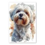 Lowchen (Little Lion Dog) Painted Illustration Canvas Art Print - Canine Decor, Pet Portrait, Domestic Animal, Home Styling, Dog Lover's Collectible