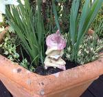 Fairy garden shy fairy, ceramic plant pot ornament, hand made and hand painted, reading a book of fairytales, pink hat and boots. Cross legged. ORIGINAL DESIGN MADE IN ENGLAND BY SALLY MOSS