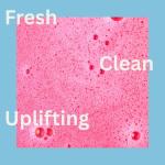 The Smelly Wax Company Soapy and Glorious Wax Melt Snap Bar | Handmade Strong Scented Clamshell | Fresh Clean Home Fragrance | Vegan Wax Melts