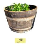 Large Recycled Solid Oak Whisky barrel Cask Rustic Planter for Garden