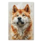 Korean Jindo Painted Illustration Canvas Art Print - Canine Portrait, Dog Lovers, Home Decor, Animal Artistry, Wall Art, Collectibles