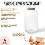 Glass Terrarium Jar (H: 42cm) with Cork Lid – Extra Tall Hand-Blown Closed Glass Container for DIY Indoor Gardens, Empty Large Decorative Vessel for Plants, Moss (Capacity 13.5 L) (with Standard Lid)