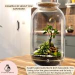 Glass Terrarium Jar (H: 42cm) with Cork Lid – Extra Tall Hand-Blown Closed Glass Container for DIY Indoor Gardens, Empty Large Decorative Vessel for Plants, Moss (Capacity 13.5 L) (with Standard Lid)