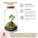Glass Terrarium Jar (H: 42cm) with Cork Lid – Extra Tall Hand-Blown Closed Glass Container for DIY Indoor Gardens, Empty Large Decorative Vessel for Plants, Moss (Capacity 13.5 L) (with Standard Lid)