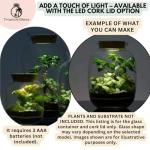 Glass Terrarium Jar (H: 42cm) with Cork Lid – Extra Tall Hand-Blown Closed Glass Container for DIY Indoor Gardens, Empty Large Decorative Vessel for Plants, Moss (Capacity 13.5 L) (with Standard Lid)