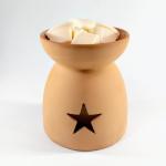 KITCHEN GARDEN - Garden Mint and White Tea - handmade wax melt - 50g