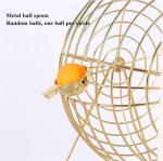 LNQKJXIIA Manual Metal Lottery Machine with Bingo Balls - Lucky Number Picking Drum for Family Parties, Group Games & Raffle Draws