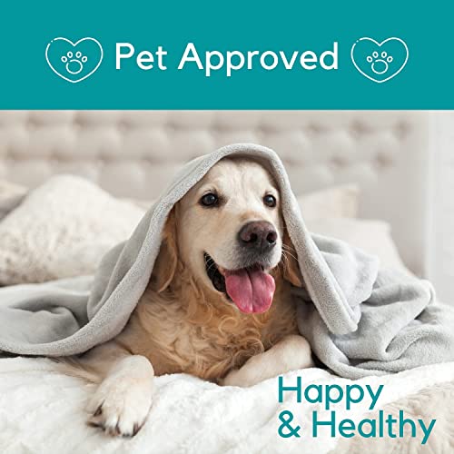 Organic Hemp Oil for Pets - Calming & Wellness